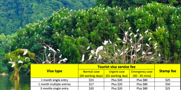 How to get a Tourist visa to Vietnam from Battambang