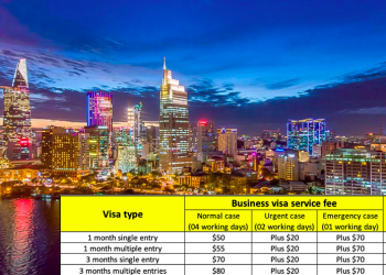 Vietnam Business Visa For South African Citizens