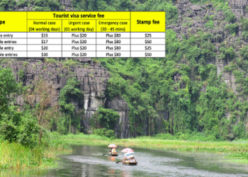 Vietnam tourist visa for South African citizens