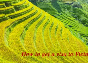 How to apply for Vietnam visa in Netherlands