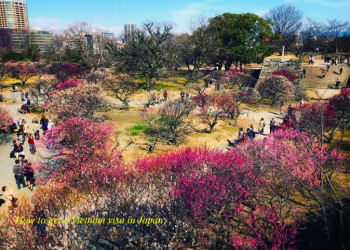 How to get a Vietnam business visa in Fukuoka