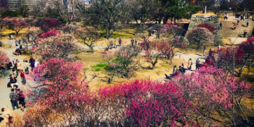 How to get a Vietnam business visa in Fukuoka