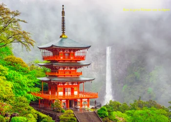 How to apply for a Vietnam Business visa in Japan?