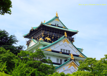 How to get a Vietnam Business visa in Osaka?