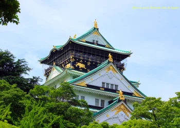 How to get a Vietnam Business visa in Osaka?