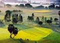 How to get a Vietnam Tourist visa in Australia?