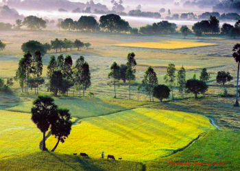 How to get a Vietnam Tourist visa in Australia?