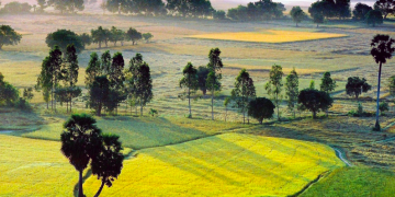 How to get a Vietnam Tourist visa in Australia?