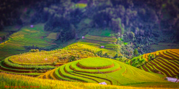 How to get a Vietnam Tourist visa form New Zealand