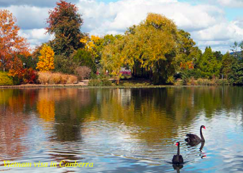 How to apply for a Vietnam visa in Canberra?