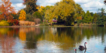 How to apply for a Vietnam visa in Canberra?