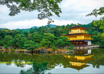 Vietnam visa fees for Japanese citizens