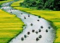 Vietnam visa for Singaporean citizens