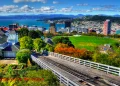 How to apply for a Vietnam visa in Wellington?