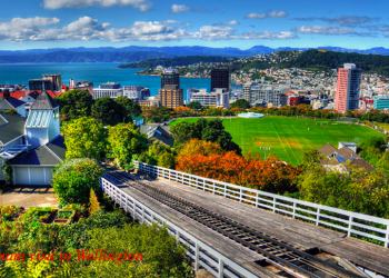How to apply for a Vietnam visa in Wellington?