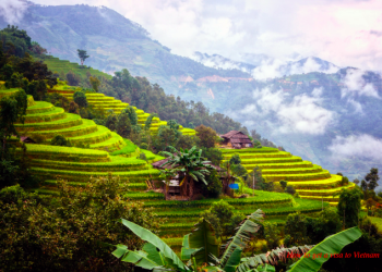 Vietnam visa on arrival for German citizens