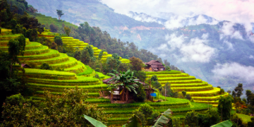 Vietnam visa on arrival for German citizens