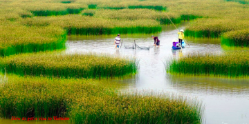 Vietnam visa requirements for German citizens