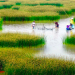 Vietnam visa requirements for German citizens
