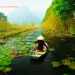 Vietnam visa requirements for New Zealand citizens