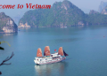 Vietnam visa requirements for Dutch citizens