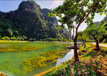 How to get a tourist visa to Vietnam from Washington D.C