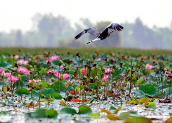 Vietnam visa on arrival for Australian citizens