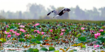 Vietnam visa on arrival for Australian citizens