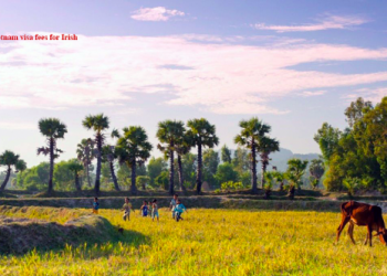 Vietnam visa on arrival for Irish citizens