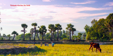 Vietnam visa on arrival for Irish citizens