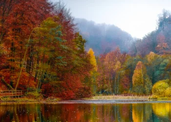 How to get a Tourist visa to Vietnam from Sweden?