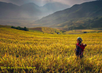 How to get a Vietnam Business visa in Denmark?