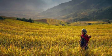 How to get a Vietnam Business visa in Denmark?