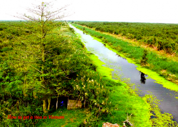 How to apply for a Vietnam Tourist visa in South Korea