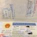 Vietnam visa for 3 months! How to get one?