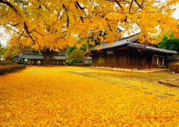 Vietnam visa fees in South Korea