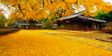 Vietnam visa fees in South Korea