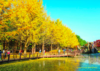 How to get a Vietnam visa for South Korean?