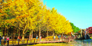 How to get a Vietnam visa for South Korean?