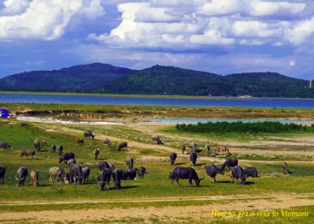 Vietnam visa requirements for Swedish citizens