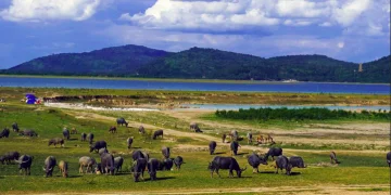 Vietnam visa requirements for Swedish citizens