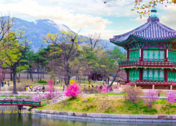 How to apply for a Vietnam Business visa in South Korea