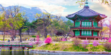 How to apply for a Vietnam Business visa in South Korea