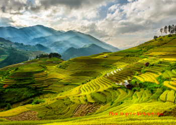 Vietnam visa on arrival form Denmark