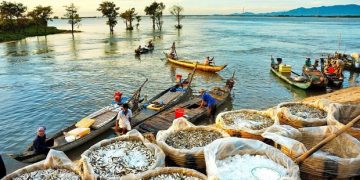 How to apply for a Vietnam business visa in Poland