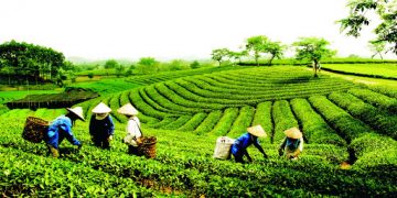 Vietnam tourist visa from Peru