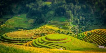 Vietnam tourist visa for Ukrainians