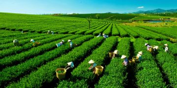 Vietnam tourist visa for Icelandic Citizens