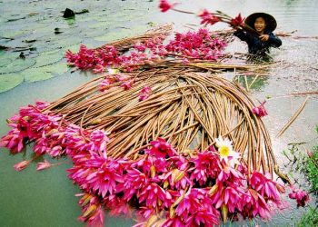 Vietnam visa requirements for Ukrainian citizens