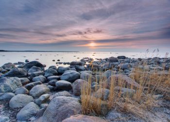 How to get a Vietnam business visa from Estonia